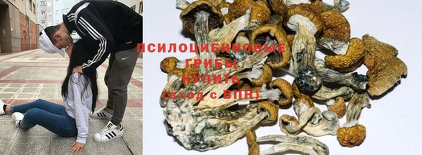 не бодяженный Аркадак