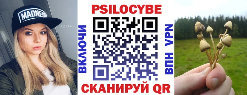 Псилоцибиновые грибы мицелий  даркнет официальный сайт  Сергач 